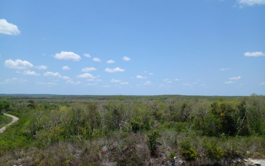 Yucatan