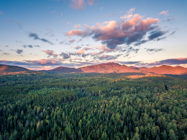 Silvania launches US Timberland Partnership to advance Nature-Based Solutions and Conservation Opportunities