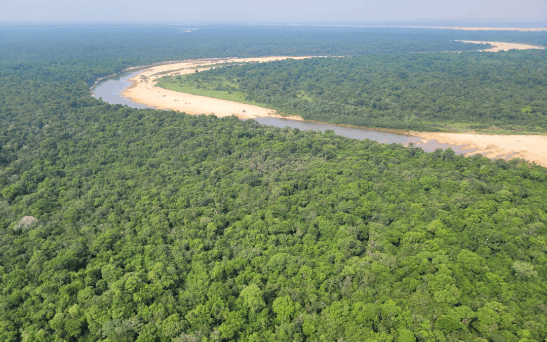 Tocantins