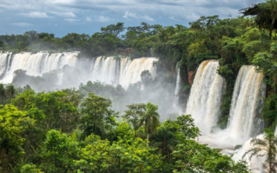 A–AA Rating for Misiones Jurisdictional REDD+ Program Marks a Milestone for High‑Integrity Carbon Markets