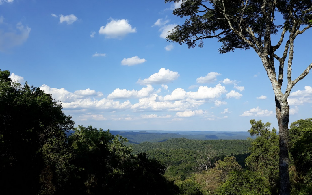 Misiones